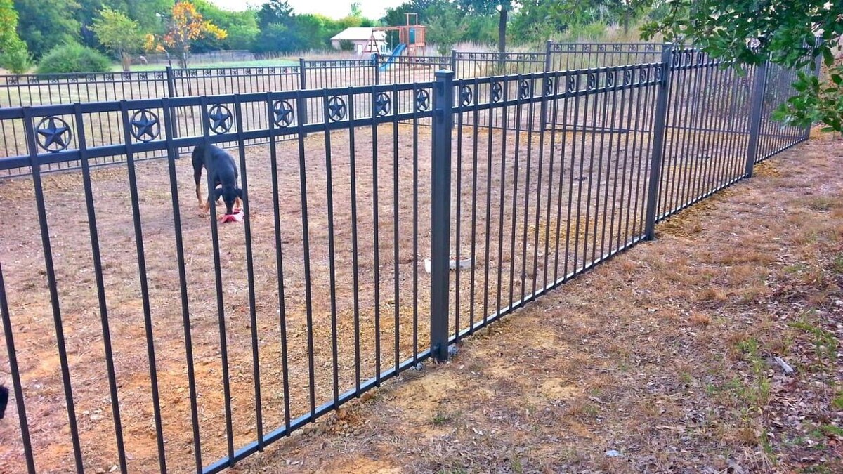 Images Buzz Custom Fence