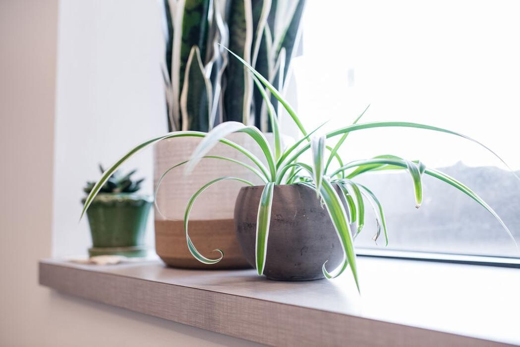 Images Sagent Behavioral Health - Minneapolis North