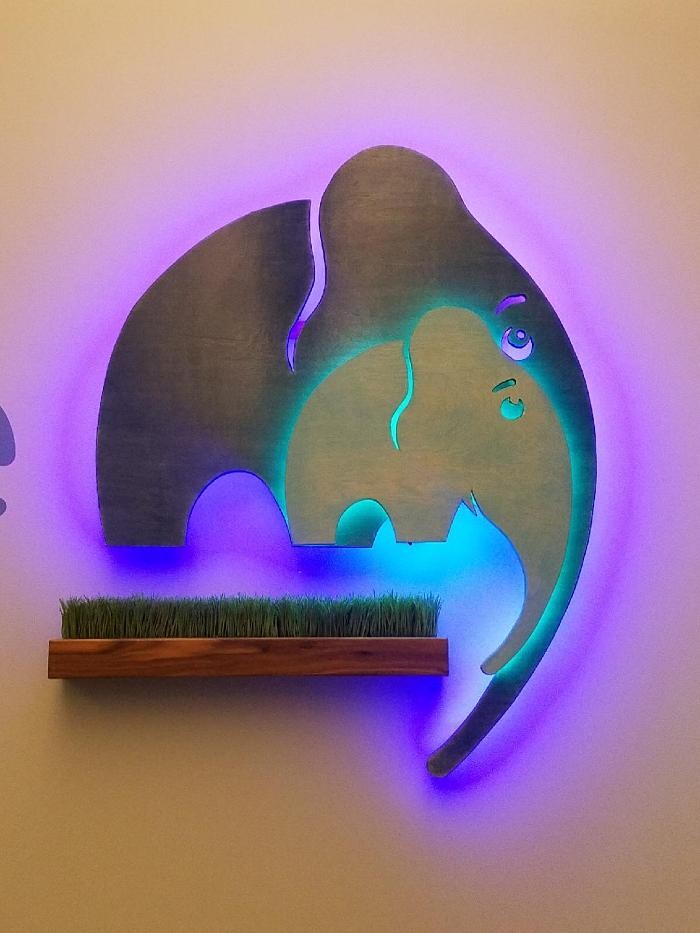 Images Sagent Behavioral Health - St. Paul