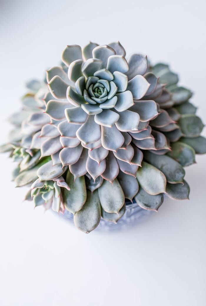 Images Sagent Behavioral Health - St. Paul