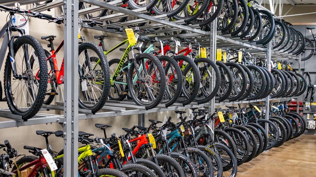 Images ERIK'S - Bike Board Ski