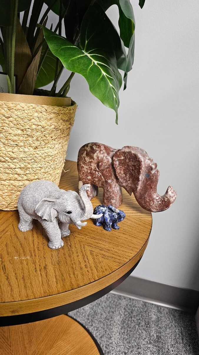 Images Sagent Behavioral Health - Mankatao East