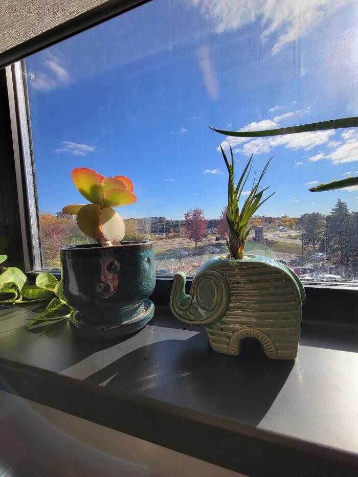 Images Sagent Behavioral Health - Burnsville