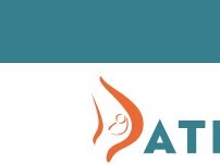 Website Screenshot Pathways to Parenthood