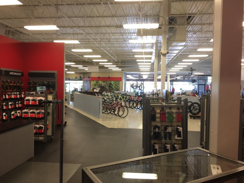 Images ERIK'S - Bike Board Ski