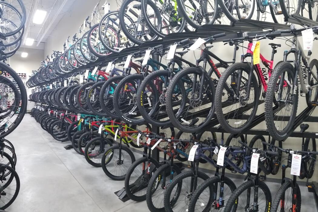 Images ERIK'S - Bike Board Ski