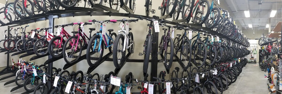 Images ERIK'S - Bike Board Ski