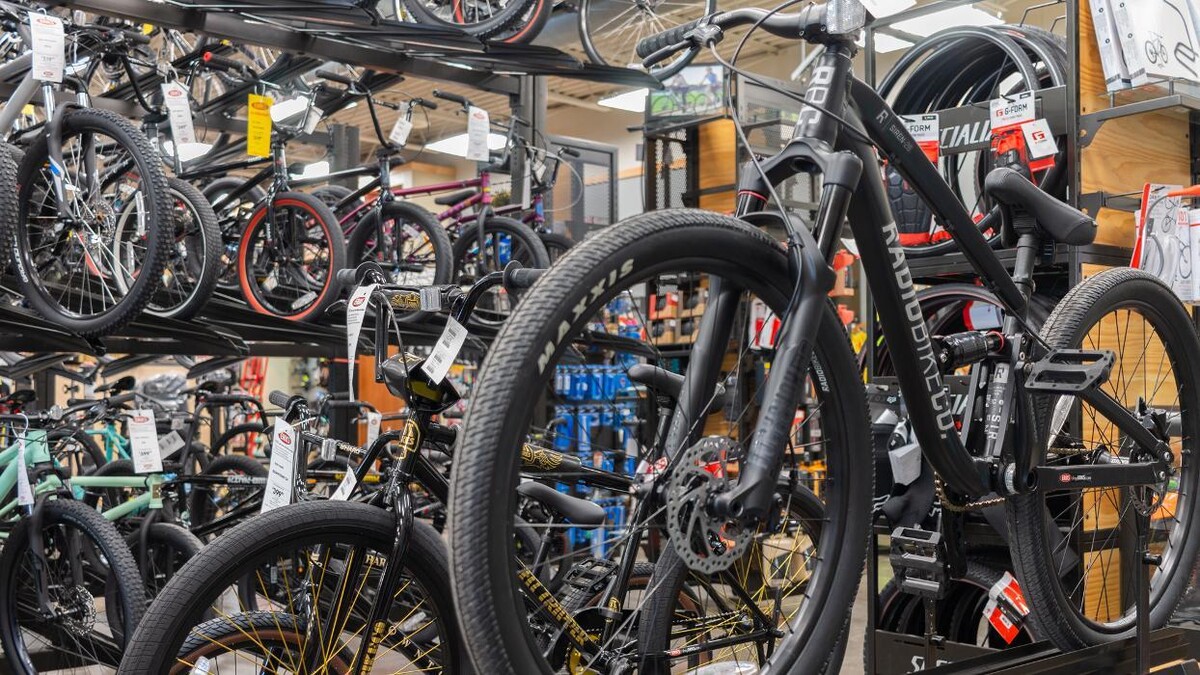 Images ERIK'S - Bike Board Ski