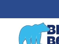 Website Screenshot Blue Bear Total Home Services