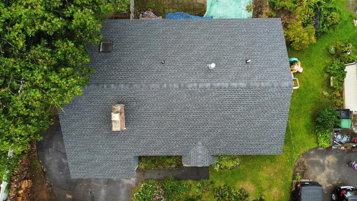 Images Lionshield Roofing Company