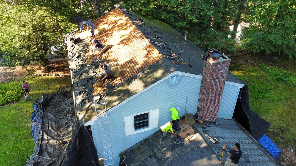 Images Lionshield Roofing Company