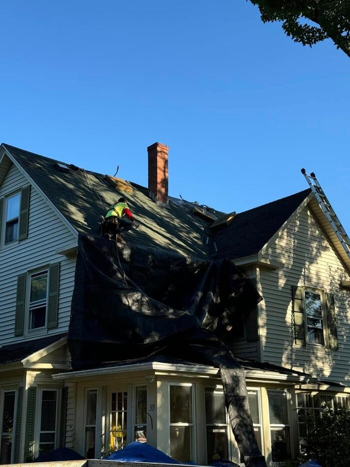 Images Lionshield Roofing Company