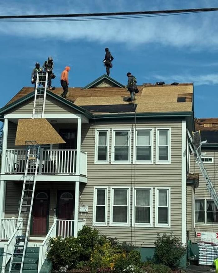 Images Lionshield Roofing Company