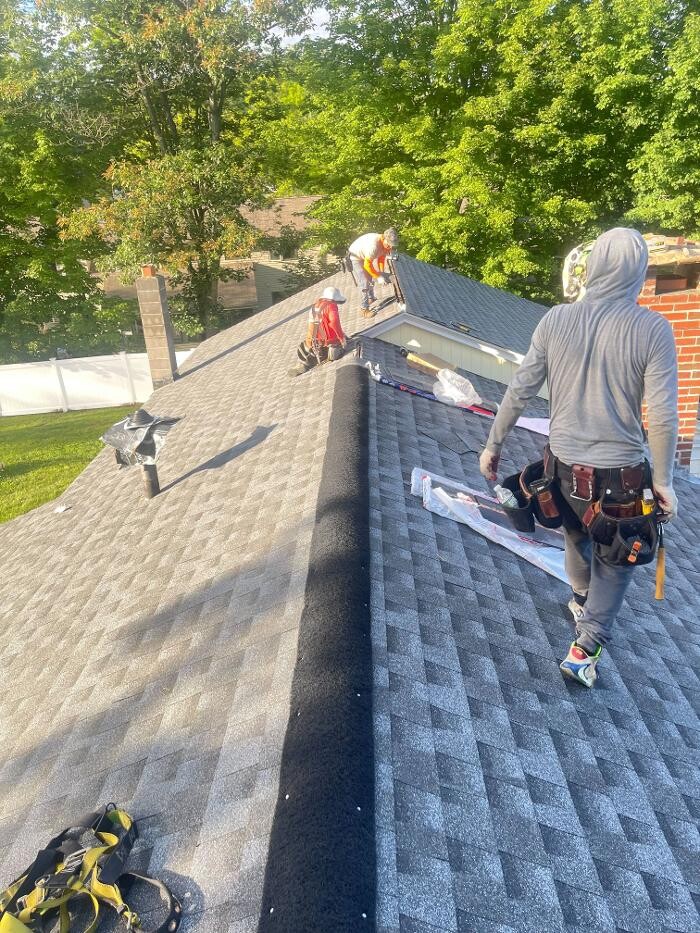 Images Lionshield Roofing Company