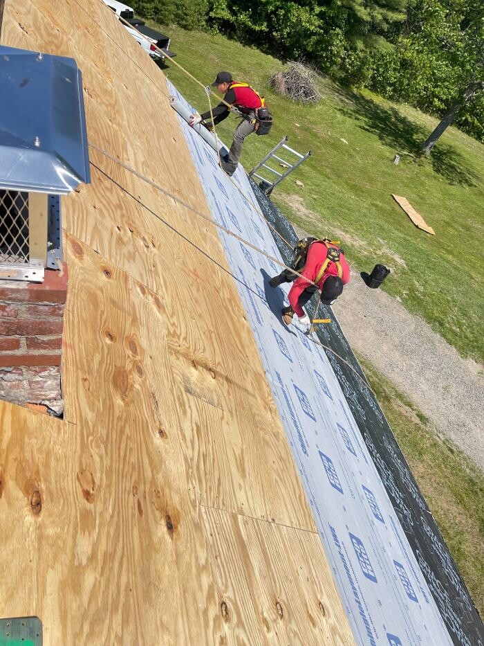 Images Lionshield Roofing Company