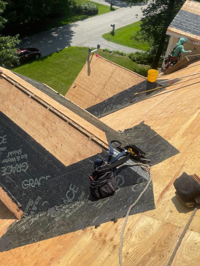 Images Lionshield Roofing Company