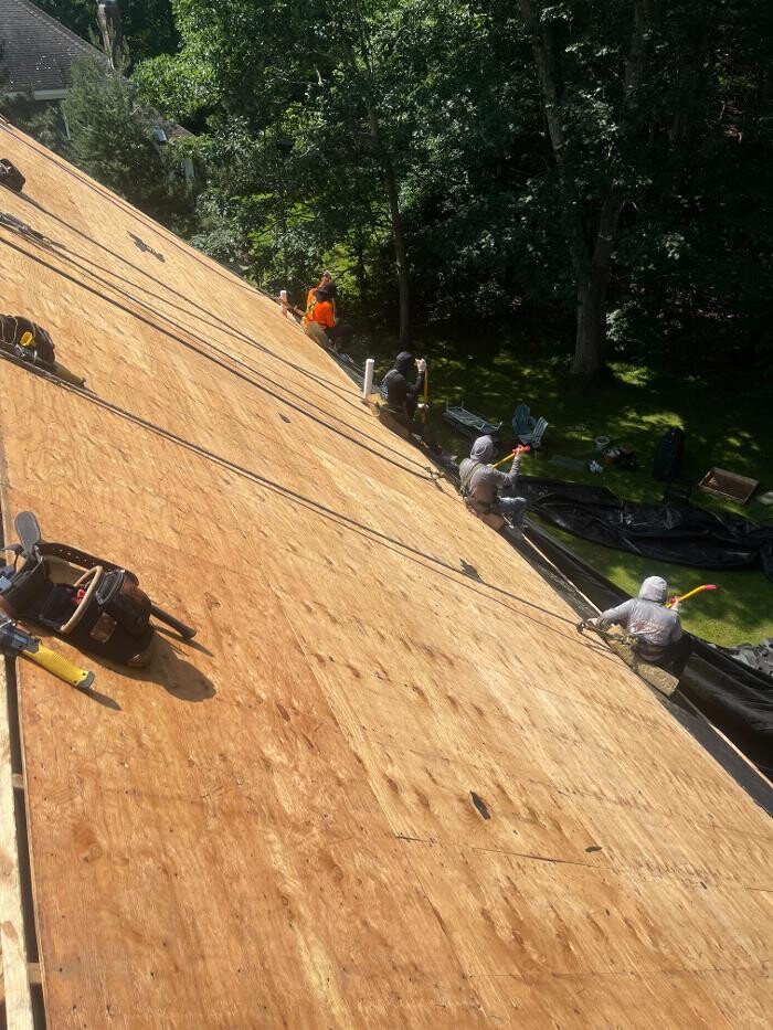 Images Lionshield Roofing Company