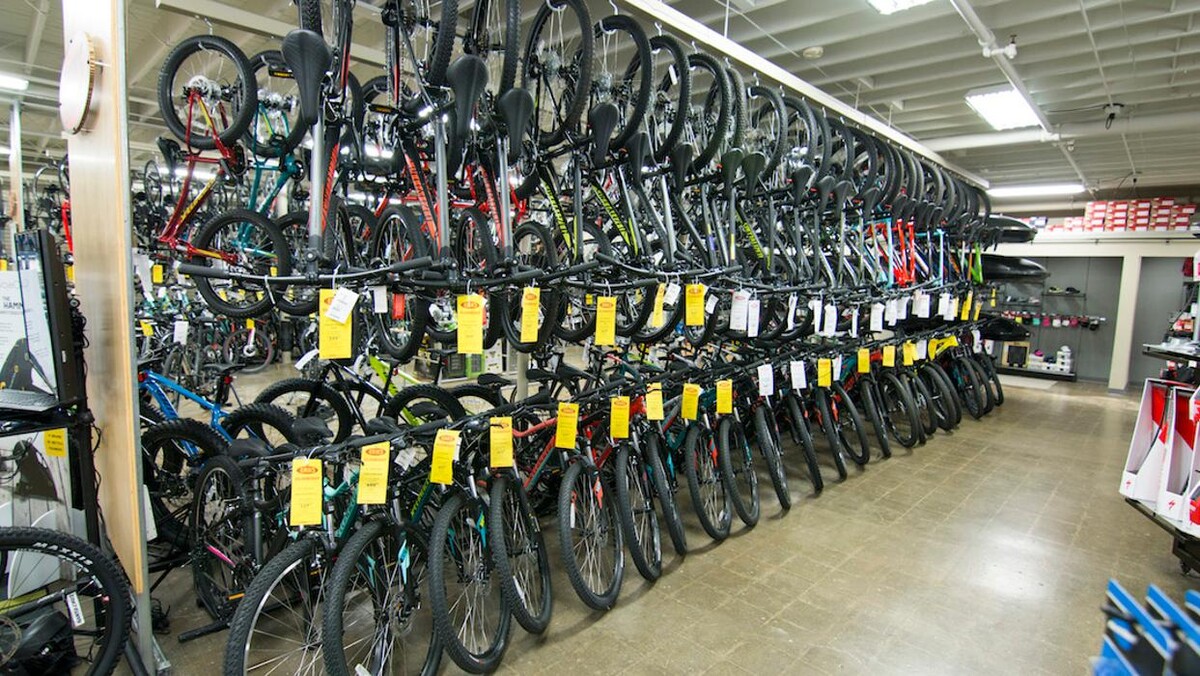 Images ERIK'S - Bike Board Ski