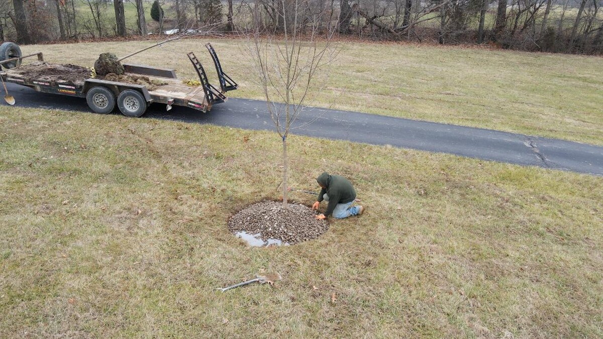 Images Lamb's Lawn Service & Landscaping LLC