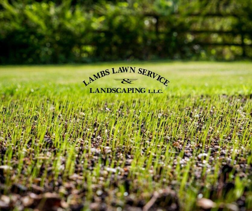Images Lamb's Lawn Service & Landscaping LLC