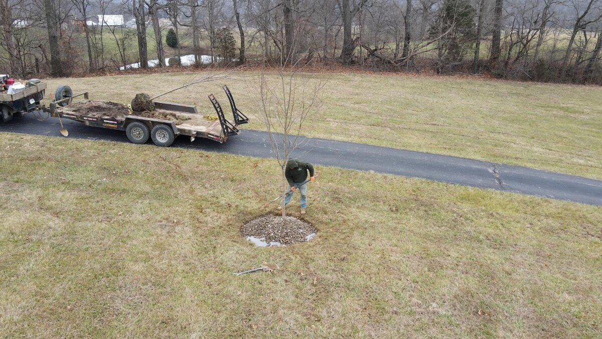 Images Lamb's Lawn Service & Landscaping LLC