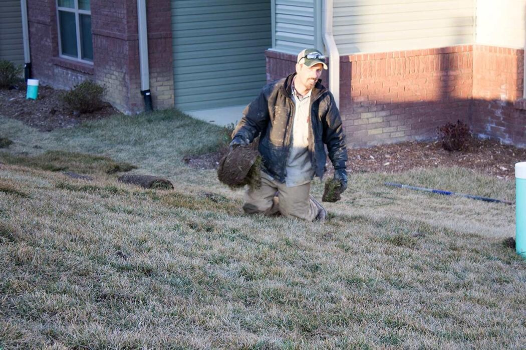 Images Lamb's Lawn Service & Landscaping LLC