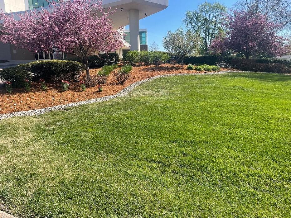 Images Lamb's Lawn Service & Landscaping LLC