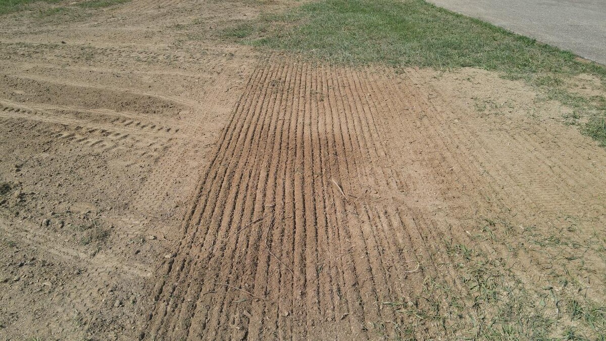 Images Lamb's Lawn Service & Landscaping LLC