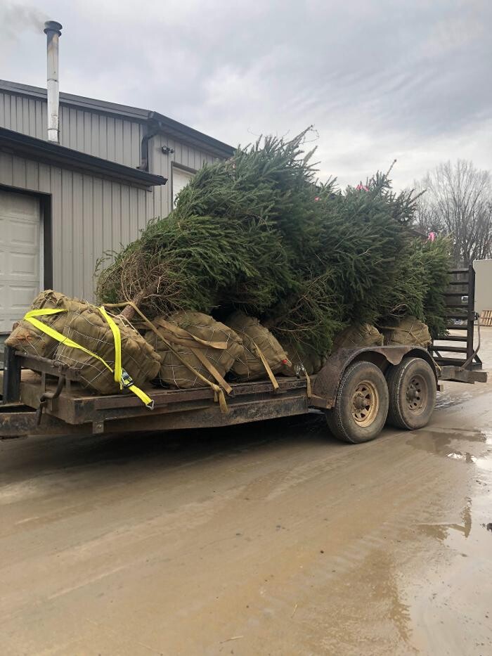 Images Lamb's Lawn Service & Landscaping LLC