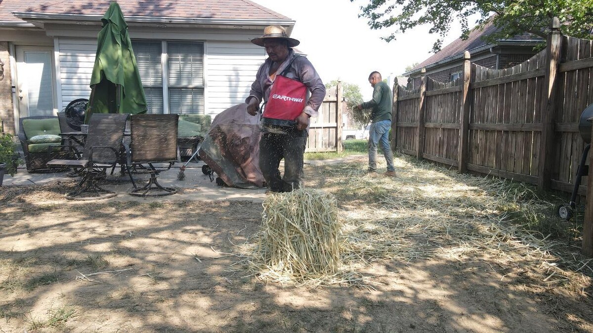 Images Lamb's Lawn Service & Landscaping LLC