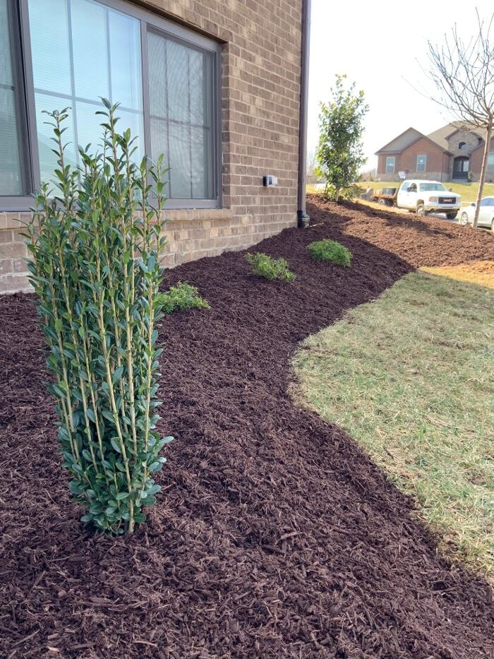 Images Lamb's Lawn Service & Landscaping LLC