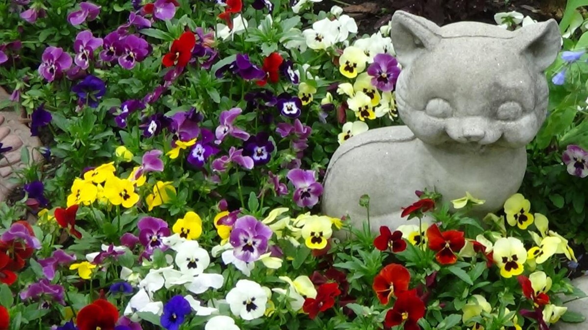 Images Whitetail Acres Nursery, Landscaping, and Reindeer Farm