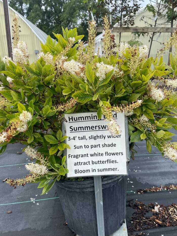 Images Whitetail Acres Nursery, Landscaping, and Reindeer Farm