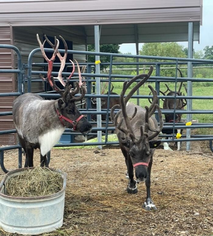 Images Whitetail Acres Nursery, Landscaping, and Reindeer Farm