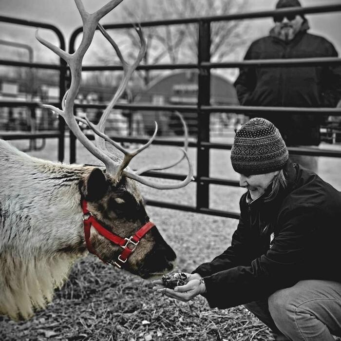 Images Whitetail Acres Nursery, Landscaping, and Reindeer Farm