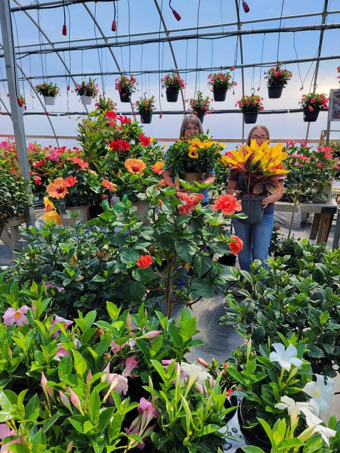 Images Whitetail Acres Nursery, Landscaping, and Reindeer Farm