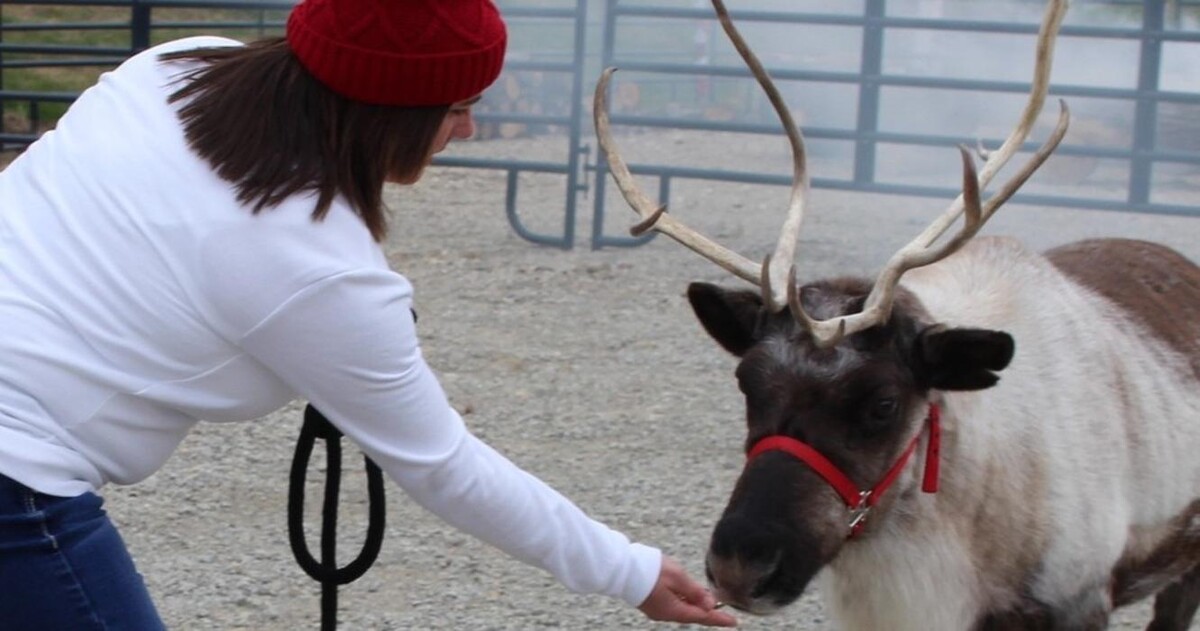 Images Whitetail Acres Nursery, Landscaping, and Reindeer Farm
