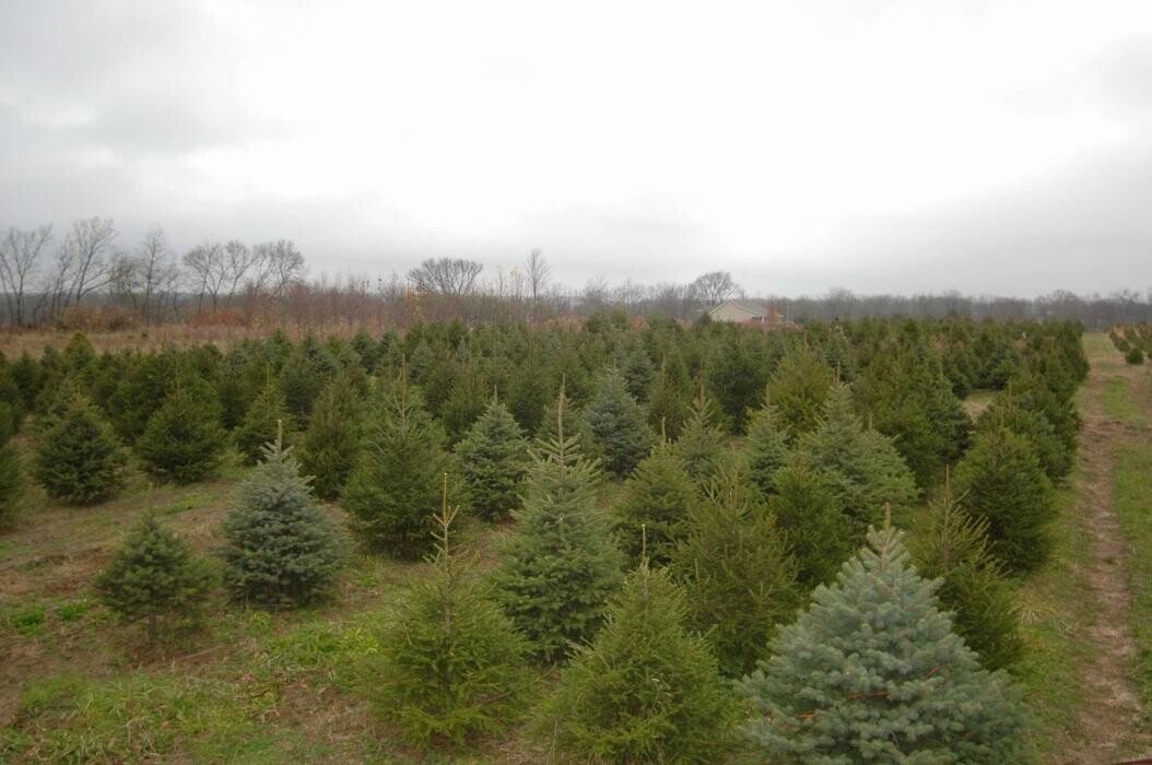 Images Whitetail Acres Nursery, Landscaping, and Reindeer Farm