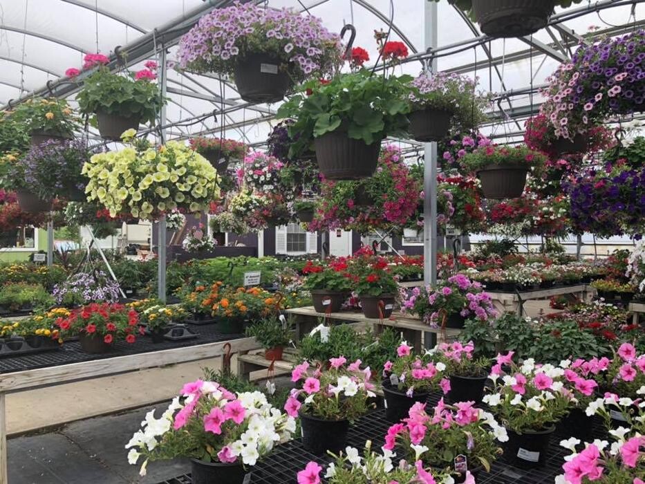 Images Whitetail Acres Nursery, Landscaping, and Reindeer Farm