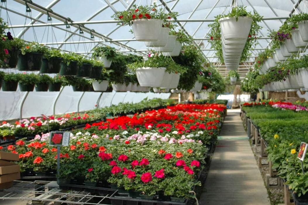 Images Whitetail Acres Nursery, Landscaping, and Reindeer Farm