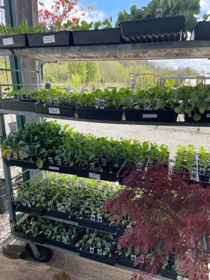 Images Whitetail Acres Nursery, Landscaping, and Reindeer Farm