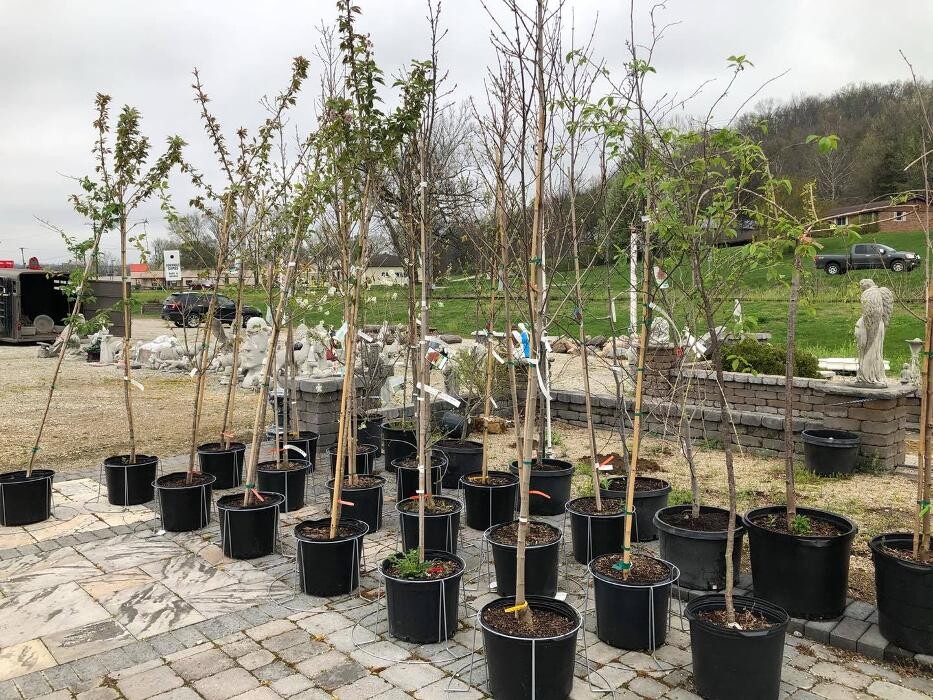 Images Whitetail Acres Nursery, Landscaping, and Reindeer Farm