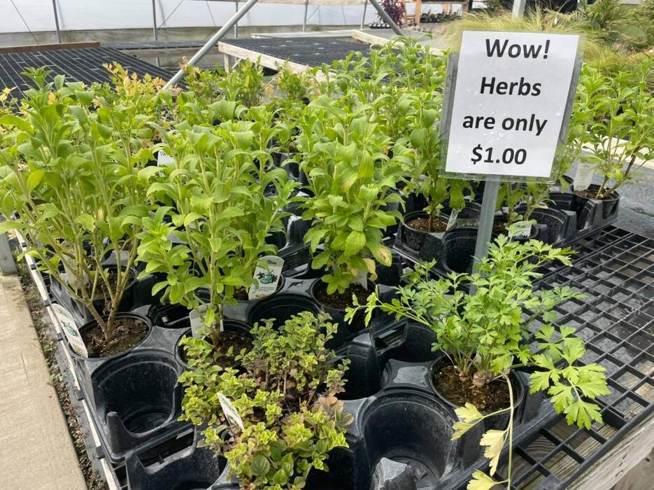 Images Whitetail Acres Nursery, Landscaping, and Reindeer Farm