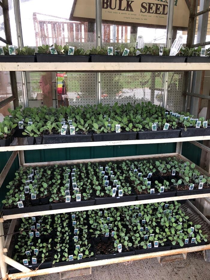 Images Whitetail Acres Nursery, Landscaping, and Reindeer Farm