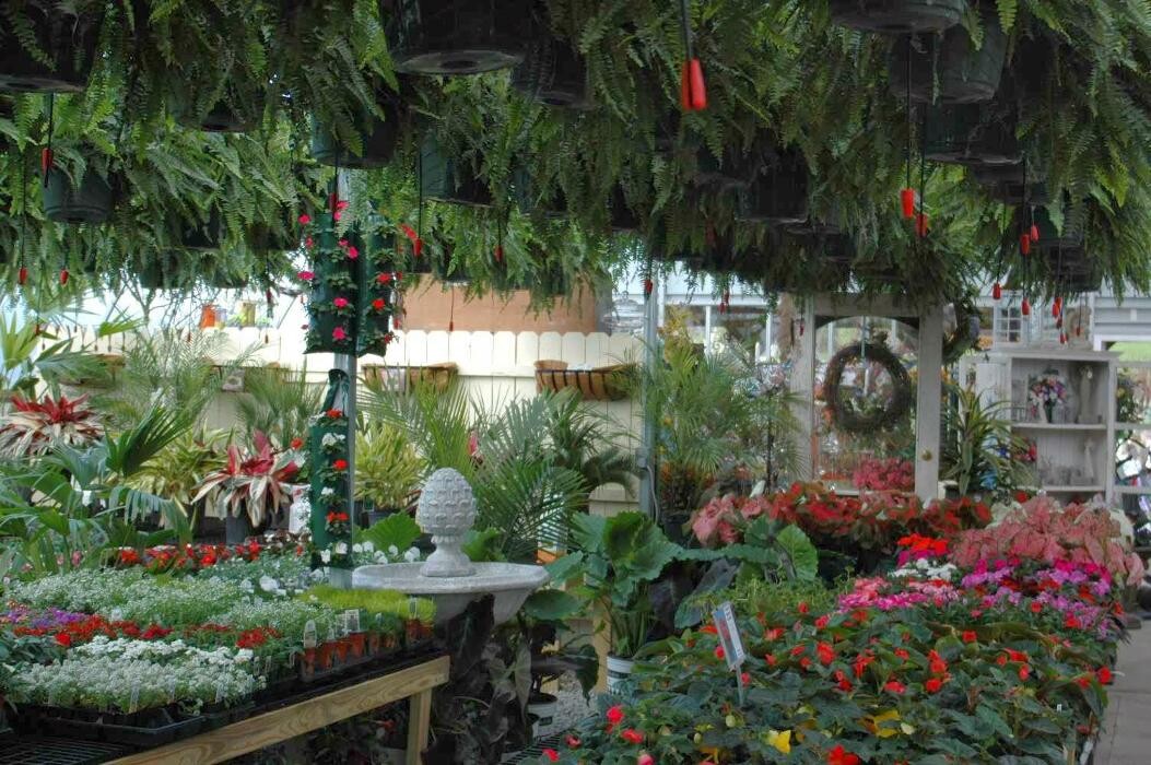 Images Whitetail Acres Nursery, Landscaping, and Reindeer Farm