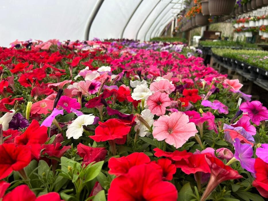 Images Whitetail Acres Nursery, Landscaping, and Reindeer Farm