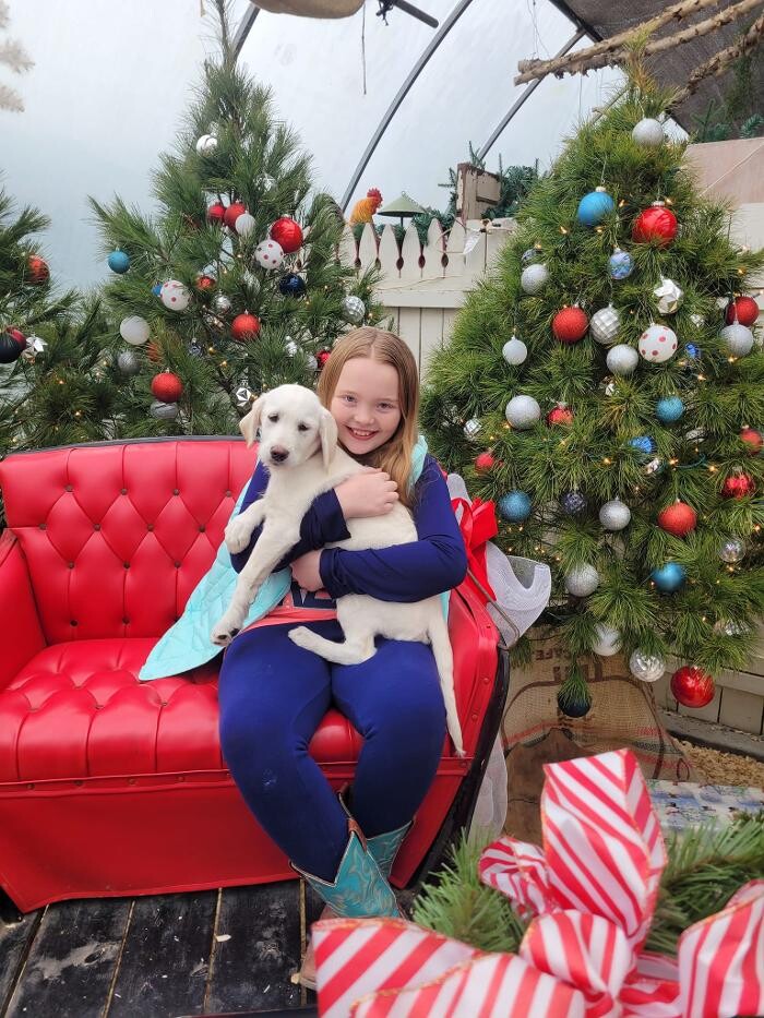 Images Whitetail Acres Nursery, Landscaping, and Reindeer Farm