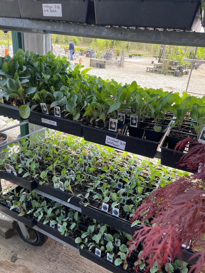 Images Whitetail Acres Nursery, Landscaping, and Reindeer Farm