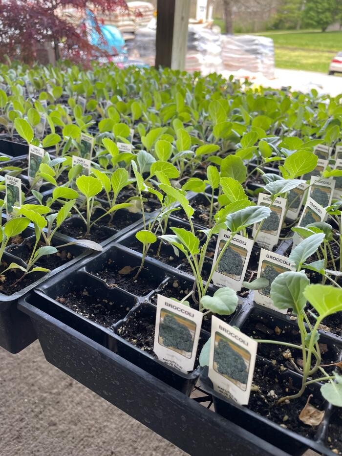 Images Whitetail Acres Nursery, Landscaping, and Reindeer Farm