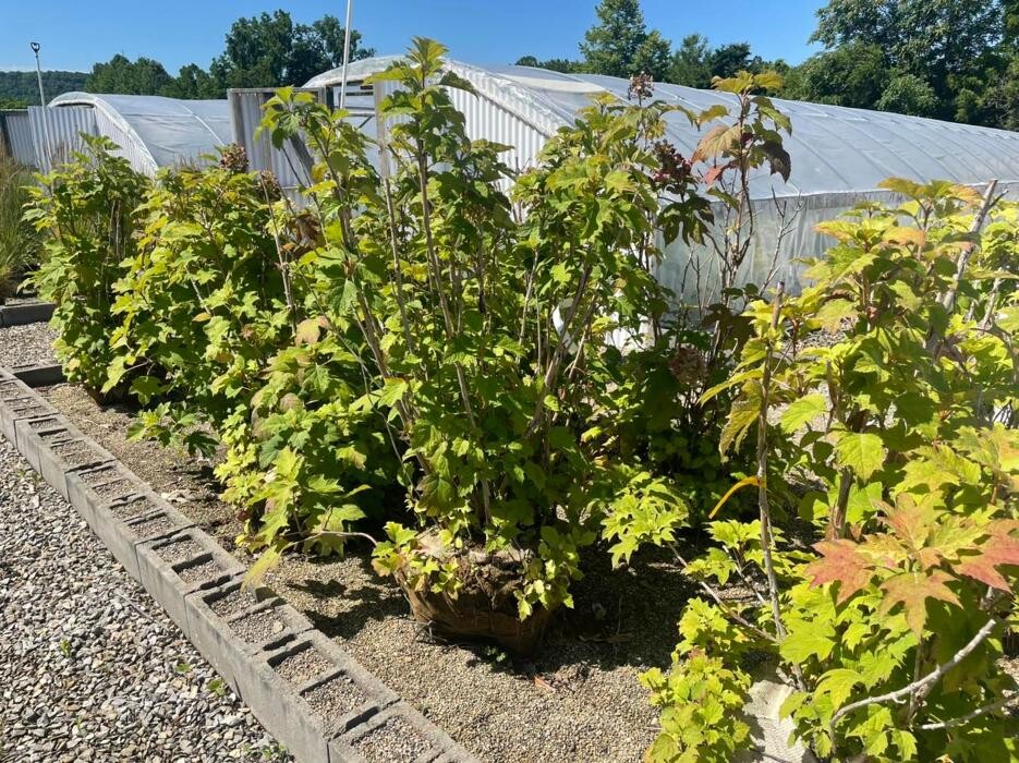 Images Whitetail Acres Nursery, Landscaping, and Reindeer Farm